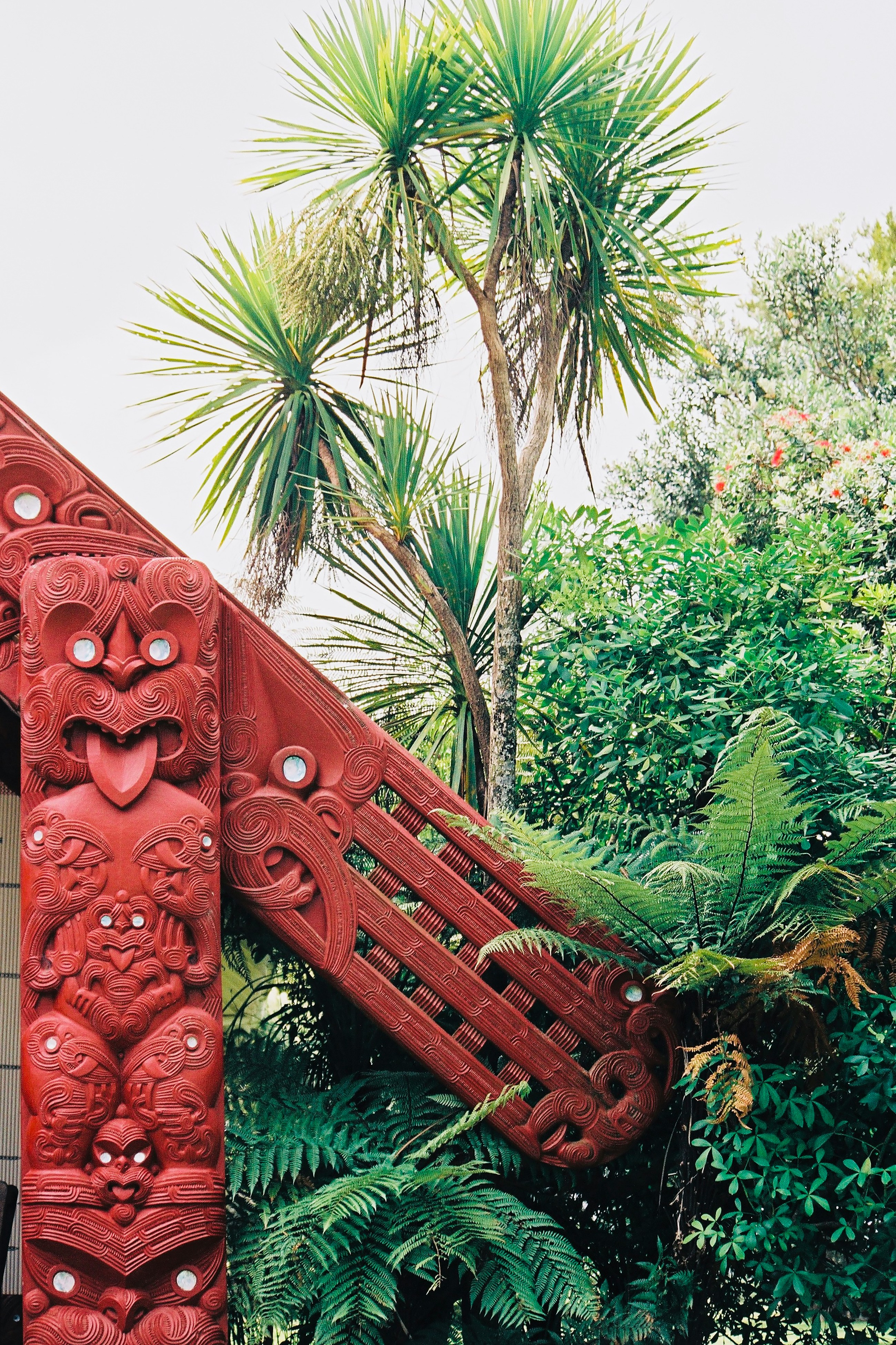 Traditional Maori carving with paua shell eyes surrounded by native ferns and cabbage trees